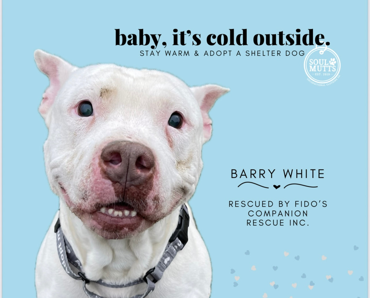 Dog Calendar 2026 Rescue Dog Calendar – SoulMutts