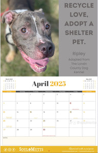 Dog Calendar - 2025 Rescue Dog Calendar