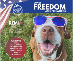 Dog Calendar - 2026 Rescue Dog Calendar
