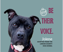 Load image into Gallery viewer, Dog Calendar - 2026 Rescue Dog Calendar
