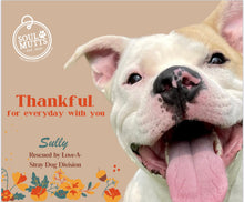 Load image into Gallery viewer, Dog Calendar - 2026 Rescue Dog Calendar