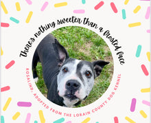 Load image into Gallery viewer, Dog Calendar - 2026 Rescue Dog Calendar