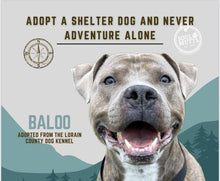 Load image into Gallery viewer, Dog Calendar - 2026 Rescue Dog Calendar