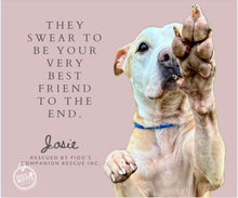 Load image into Gallery viewer, Dog Calendar - 2026 Rescue Dog Calendar
