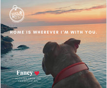 Load image into Gallery viewer, Dog Calendar - 2026 Rescue Dog Calendar