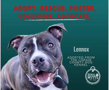 Load image into Gallery viewer, Dog Calendar - 2026 Rescue Dog Calendar