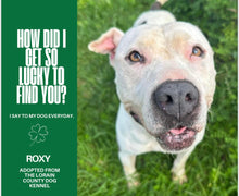 Load image into Gallery viewer, Dog Calendar - 2026 Rescue Dog Calendar