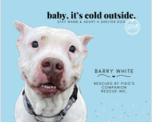 Load image into Gallery viewer, Dog Calendar - 2026 Rescue Dog Calendar